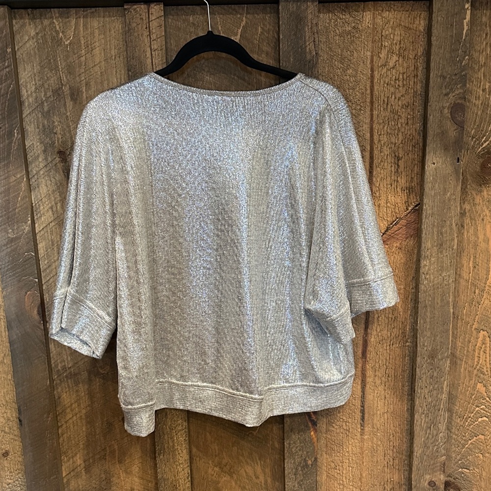 Tyche Shimmering Silver V-Neck Blouse - Picture 5 of 5